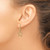 14k & White Rhodium D/C Stars Leverback Earrings TM797