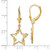 14k & White Rhodium D/C Stars Leverback Earrings TM797
