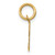 10K Small Fancy Script Initial P Charm 10YC650P