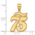 14k Brushed Border Script Number 75 Pendant SCN75