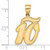 14k Brushed Border Script Number 10 Pendant SCN10