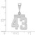 14kw Small Polished Number 43 Charm WSP43