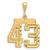 14k Small Brushed Diamond-cut Number 43 Charm SN43