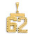14k Small Brushed  Diamond-cut Number 62 Charm SN62