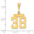 14k Small Polished Number 38 Charm SP38