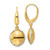 14K Two-tone Polished D/C Hollow Round Criss Cross Leverback Earrings TF2173