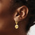 14K Two-tone Polished D/C Hollow Round Criss Cross Leverback Earrings TF2173