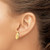 14K Mussel Shell Post Earrings TE854