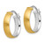 14K with White Rhodium Small 5mm Polished & Satin Hoop Earrings TF1748