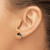 14K White and Black Enamel Dolphin Post Earrings TE690