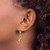14k & White Rhodium D/C Dragonfly Leverback Earrings TM798