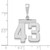 14kw Medium Polished Number 43 Charm WMP43