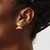 14K 2-D Whale Tail Post Earrings TE819