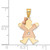 14k Two-tone AA Diamond Kid Pendant XK499AA