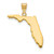 14KY Florida State Pendant XNA707Y-FL