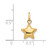 14k 3D Puffed Star Charm XCH156