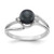 14k White Gold 6mm Black FW Cultured Pearl A Diamond ring Y1854BP/A