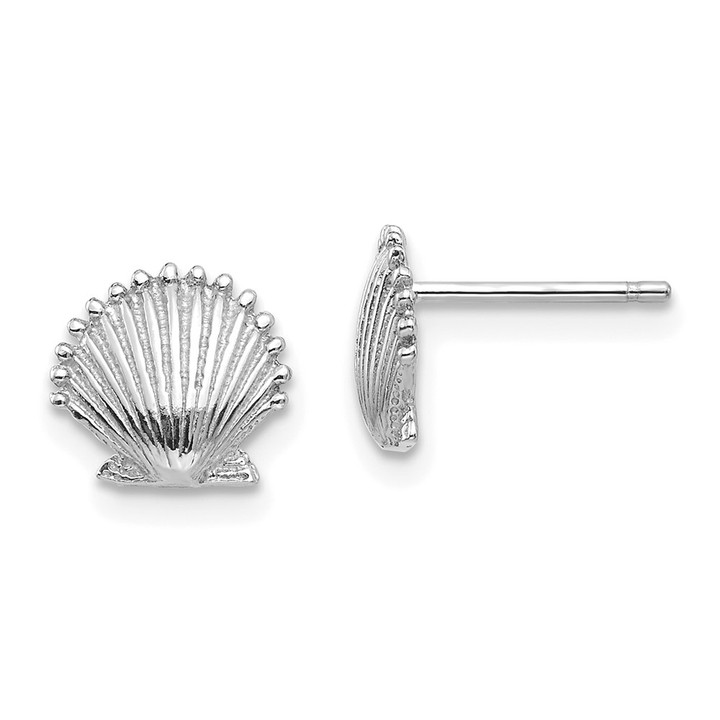 14K White Gold Scallop Shell Post Earrings TE633W