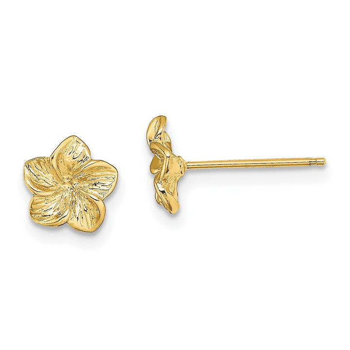14K Plumeria Flower Post Earrings TE724