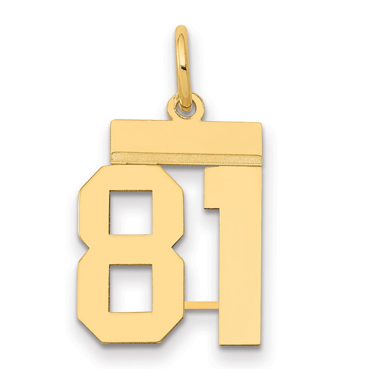 14k Small Polished Number 81 Charm LS81