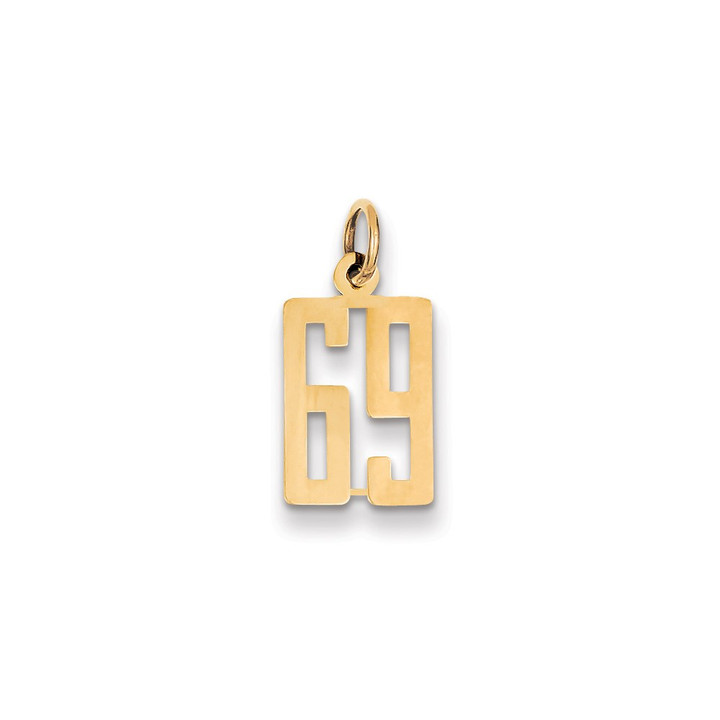 14k Small Elongated Number 69 Charm LES69