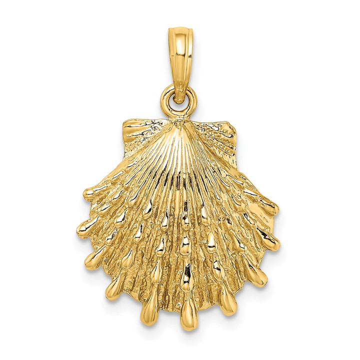 14K Lions Paw Shell Charm K7965