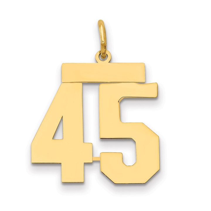 14k Medium Polished Number 45 Charm LM45