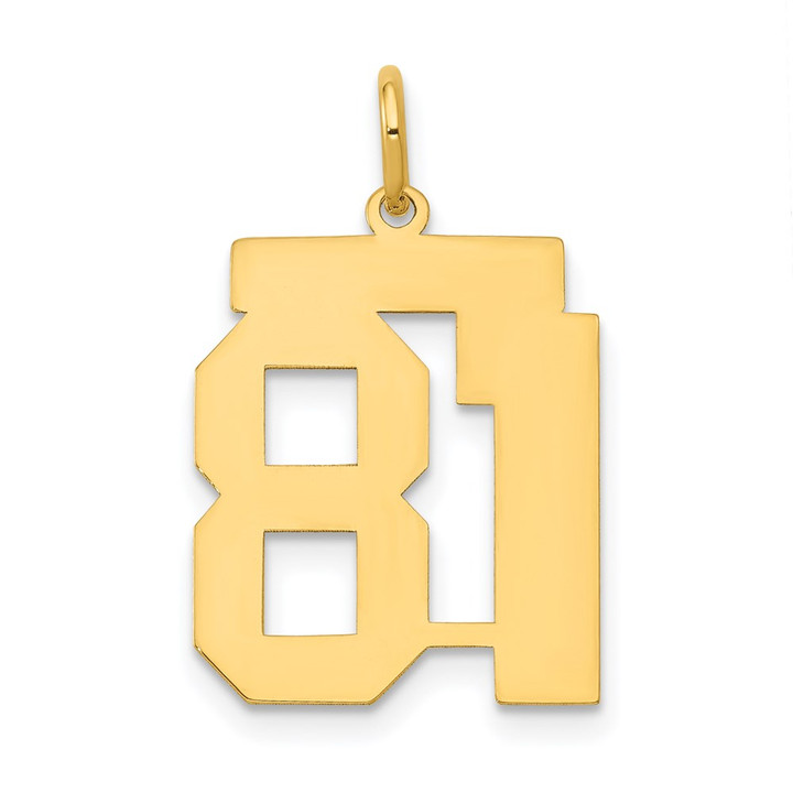 14k Medium Polished Number 81 Charm LM81
