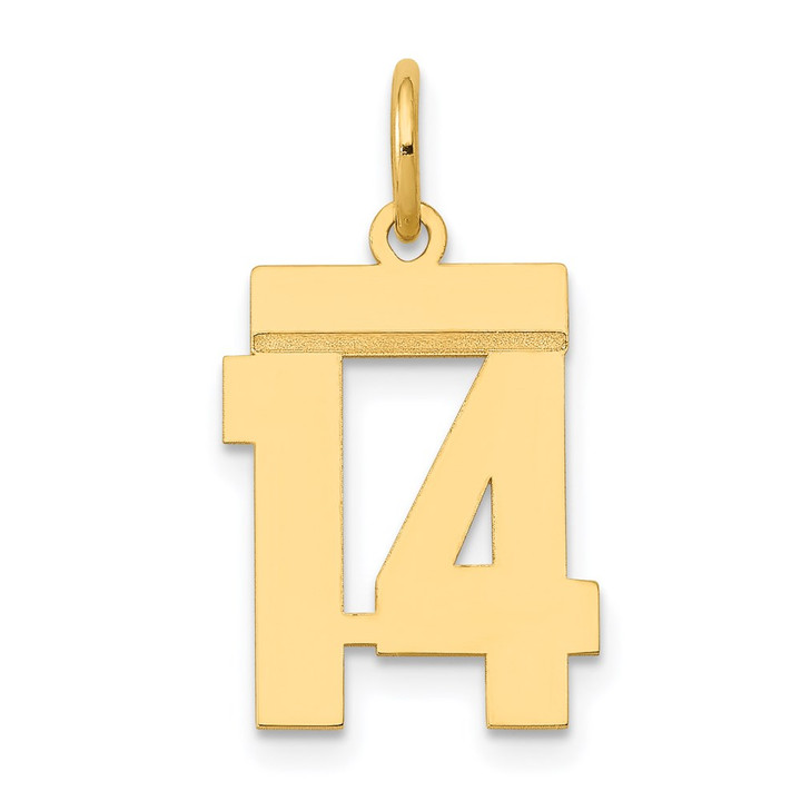 14k Small Polished Number 14 Charm LS14