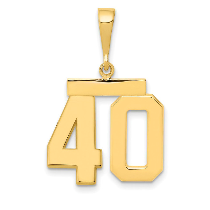 14k Medium Polished Number 40 Charm MP40