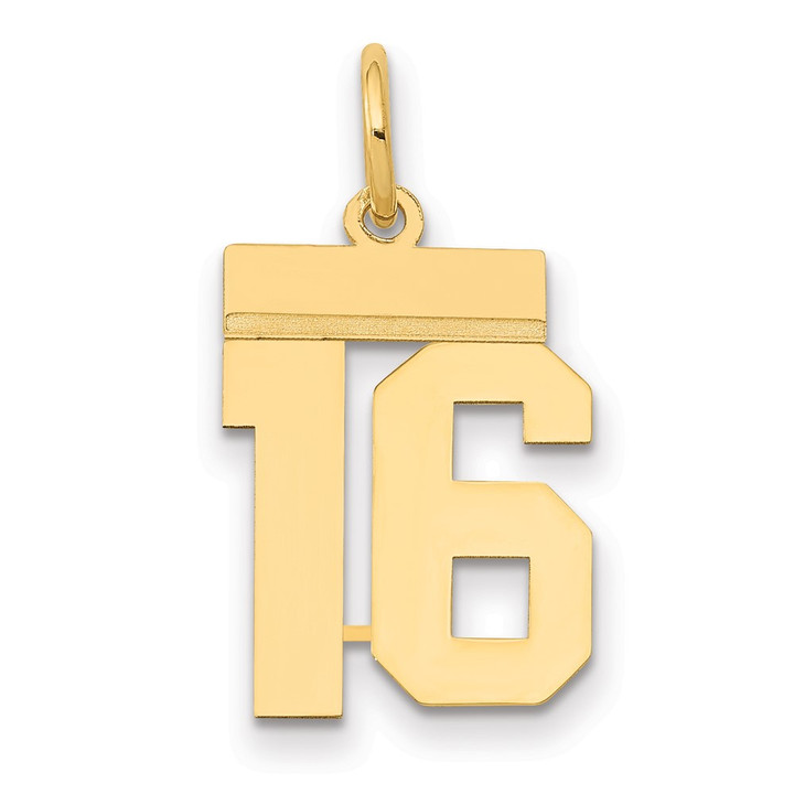 14k Small Polished Number 16 Charm LS16