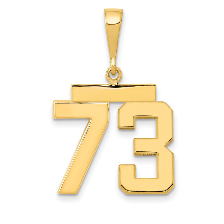 14k Medium Polished Number 73 Charm MP73