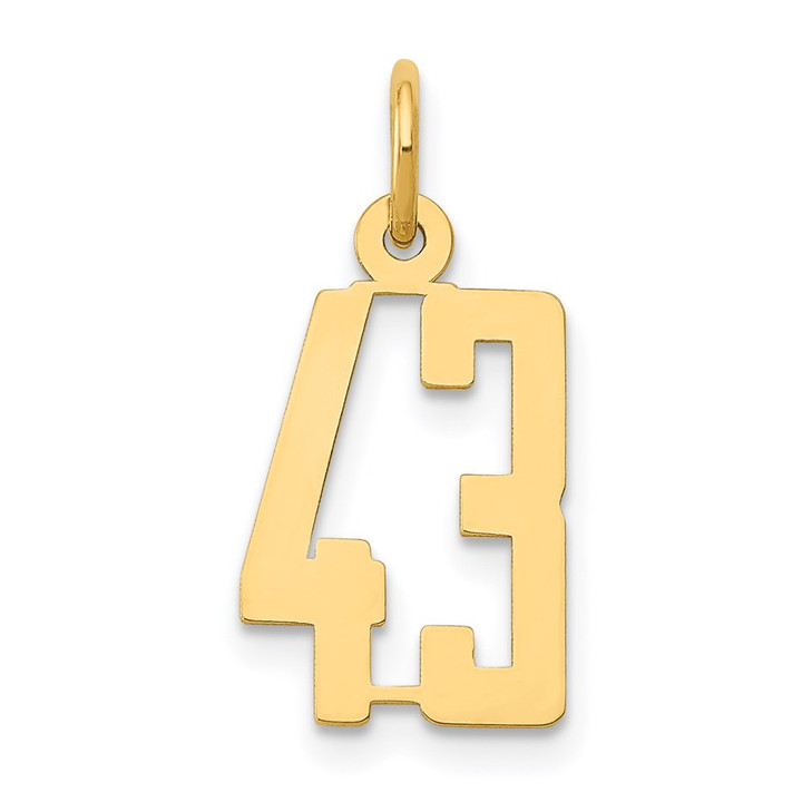14k Small Elongated Number 43 Charm LES43