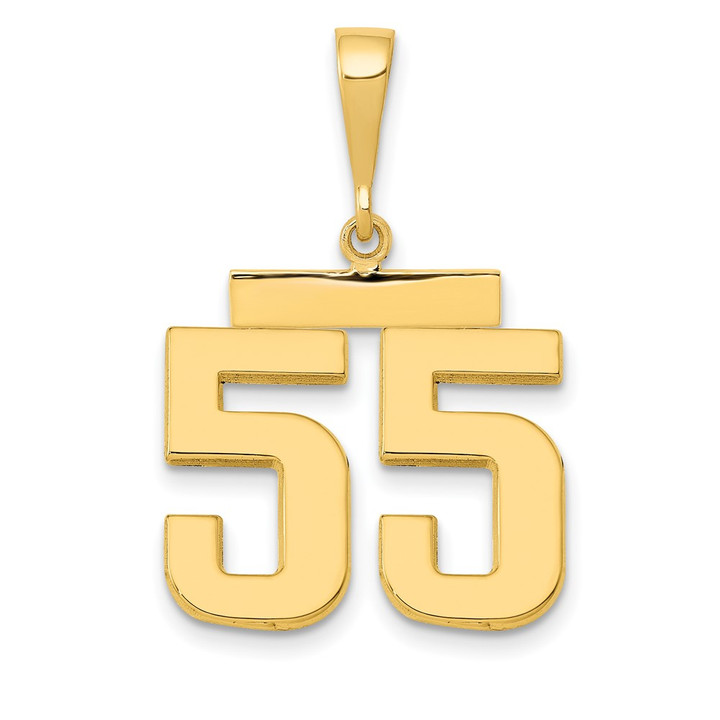 14k Medium Polished Number 55 Charm MP55