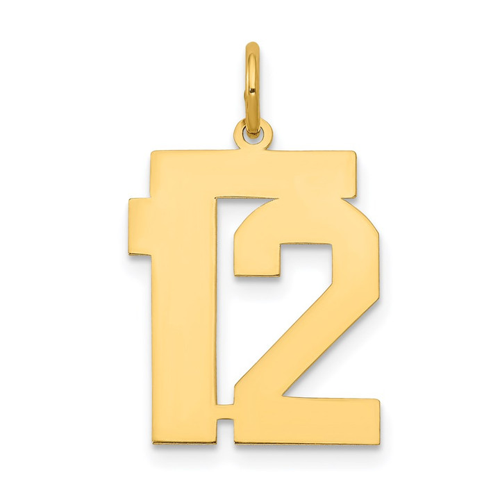 14k Medium Polished Number 12 Charm LM12
