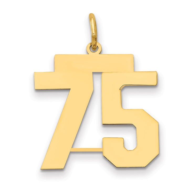 14k Medium Polished Number 75 Charm LM75