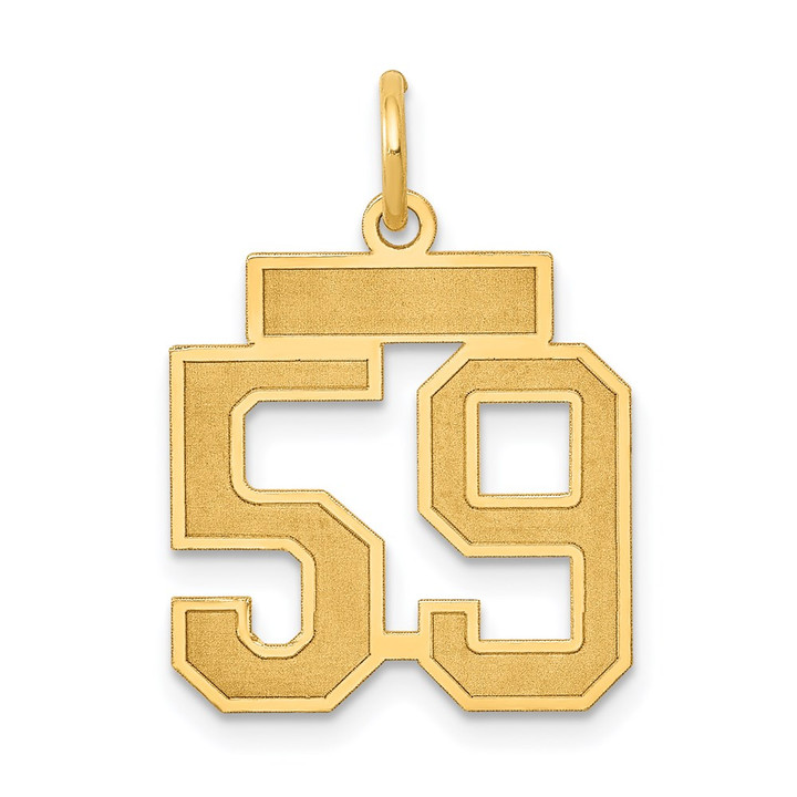 14k Small Satin Number 59 Charm LSS59