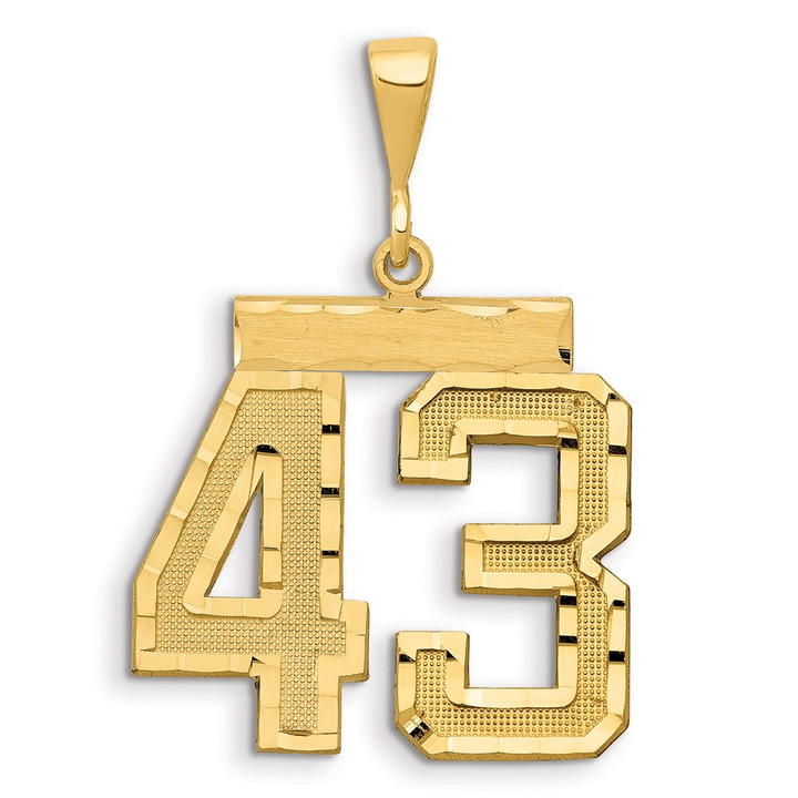 14k Large Brushed Diamond-cut Number 43 Charm LN43
