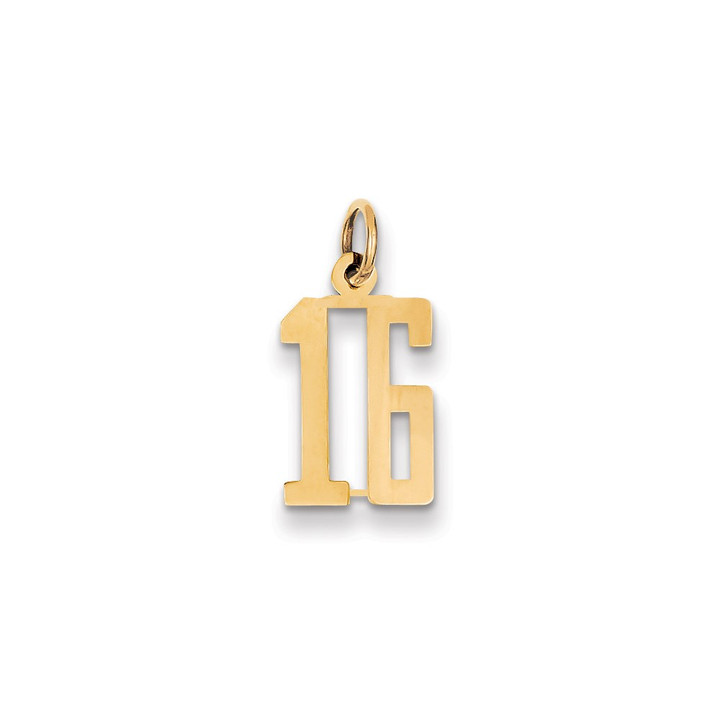 14k Small Elongated Number 16 Charm LES16