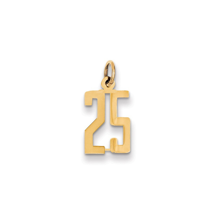 14k Small Elongated Number 25 Charm LES25