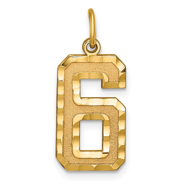 14k Large Brushed Diamond-cut  Number 6 Charm LN06