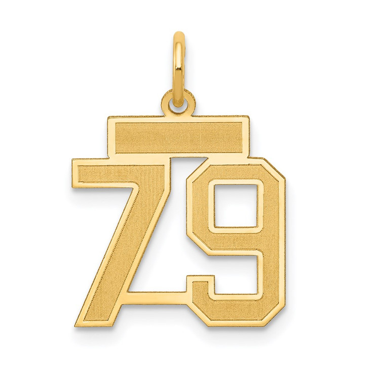 14k Small Satin Number 79 Charm LSS79