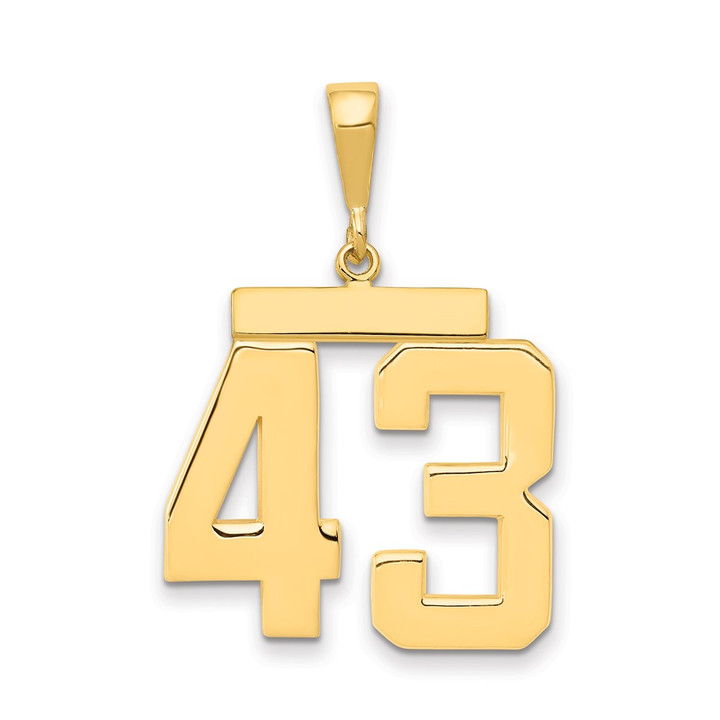 14k Large Polished Number 43 Charm LP43