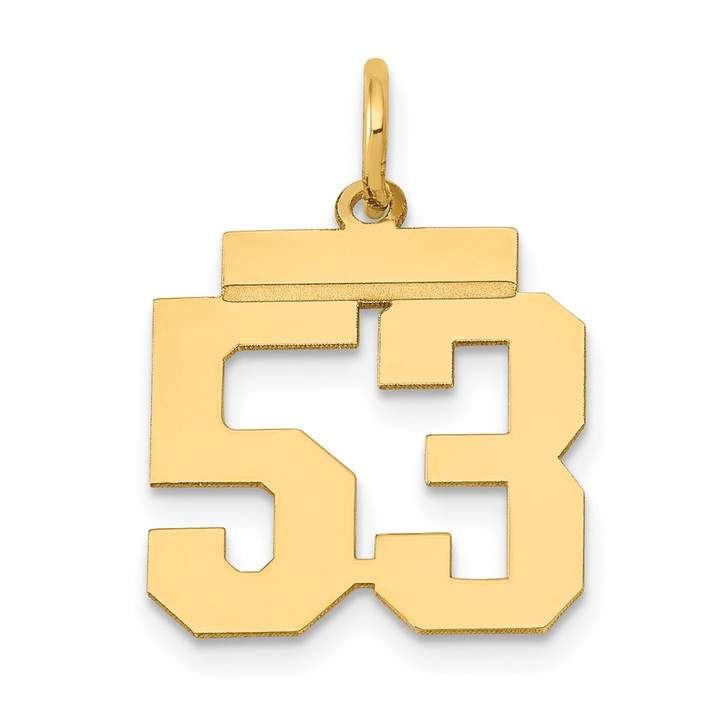 14k Small Polished Number 53 Charm LS53