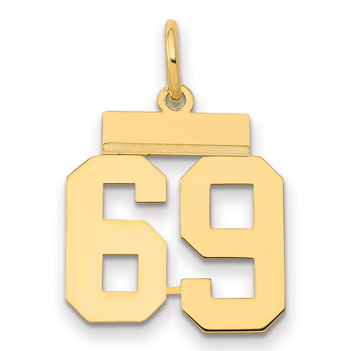 14k Small Polished Number 69 Charm LS69