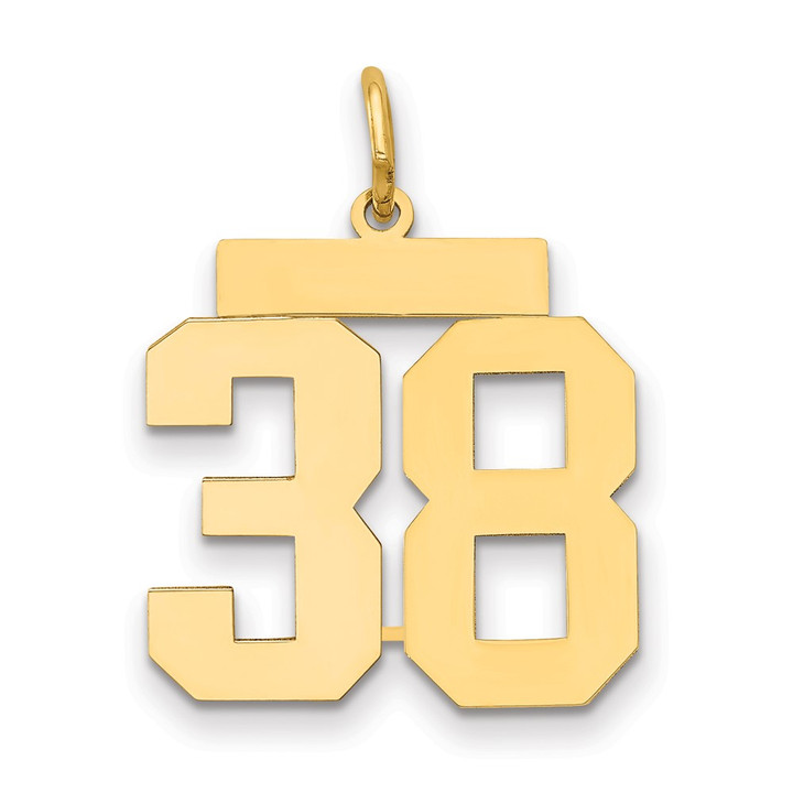 14k Medium Polished Number 38 Charm LM38