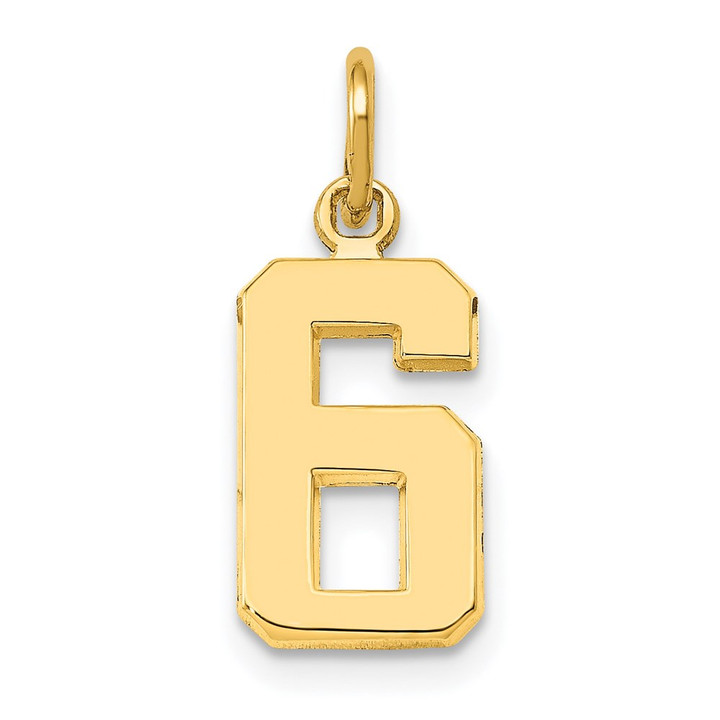 14k Small Polished Number 6 Charm SP06