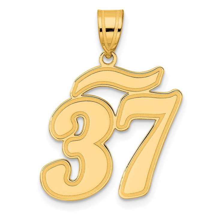 14k Brushed Border Script Number 37 Pendant SCN37