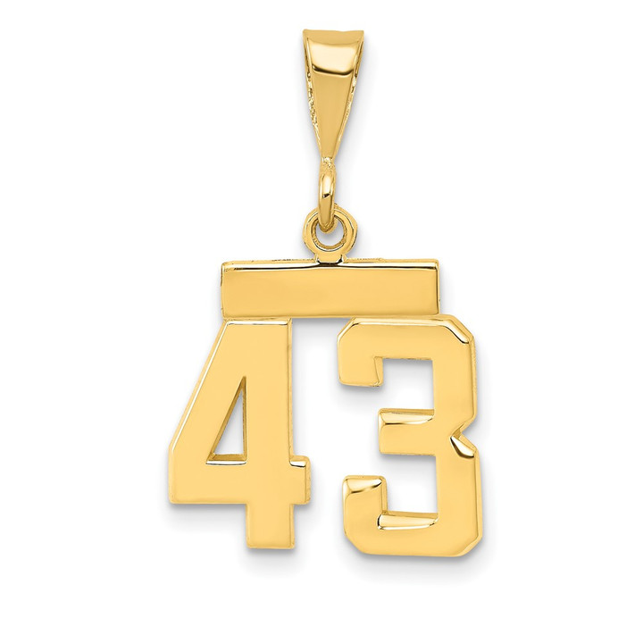 14k Small Polished Number 43 Charm SP43