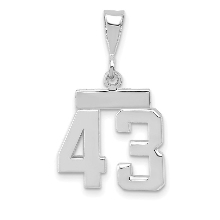14kw Small Polished Number 43 Charm WSP43
